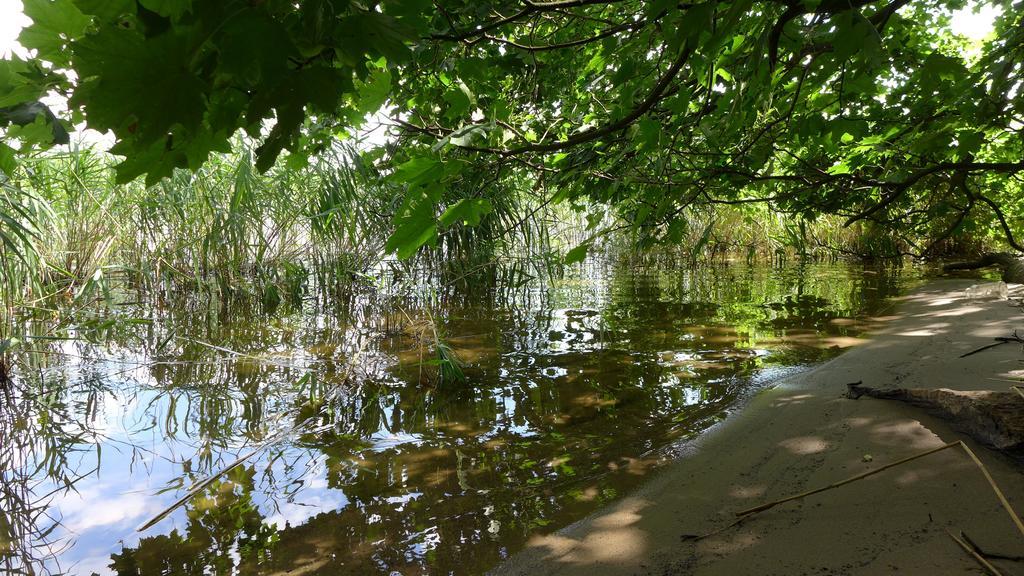 נוירופין Ferienhaus Natura חדר תמונה